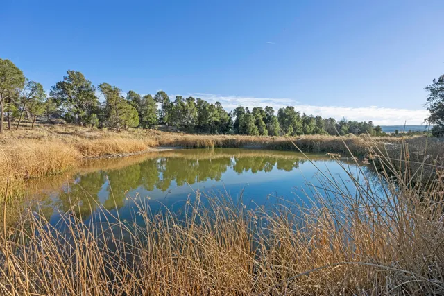 a view of a lake with houses in the back