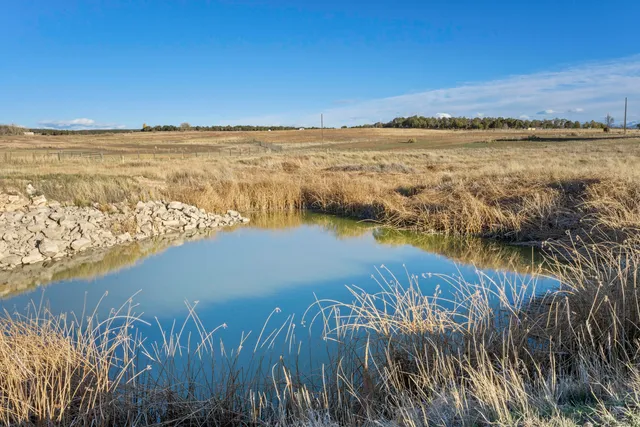 a view of an ocean and beach