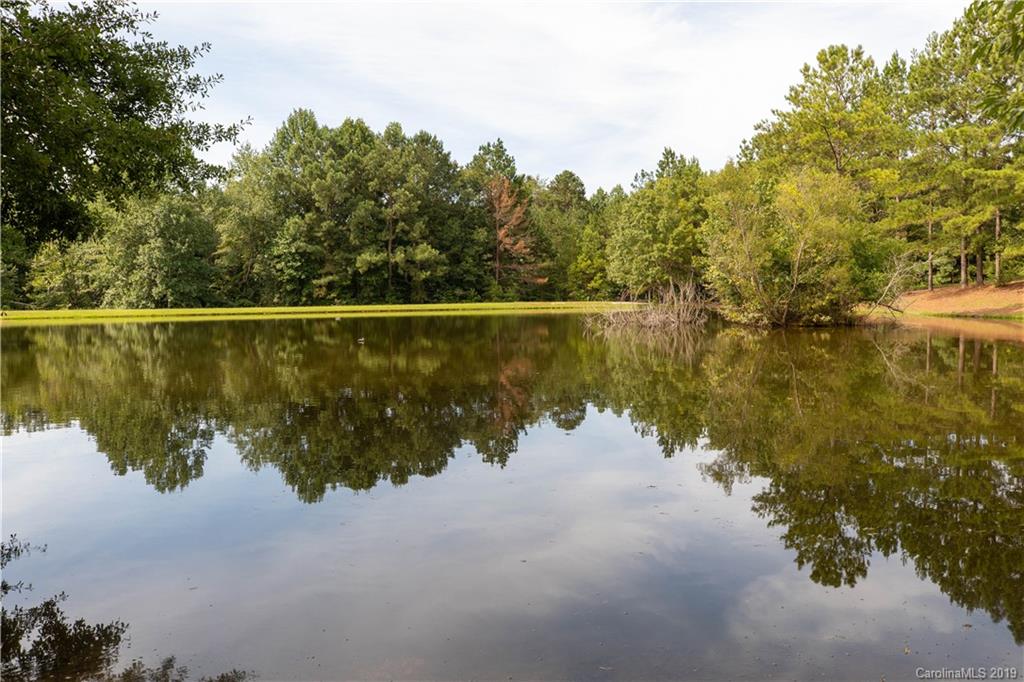 1127 Bate Harvey Road Clover, SC 29710 - Photo 18 of 48