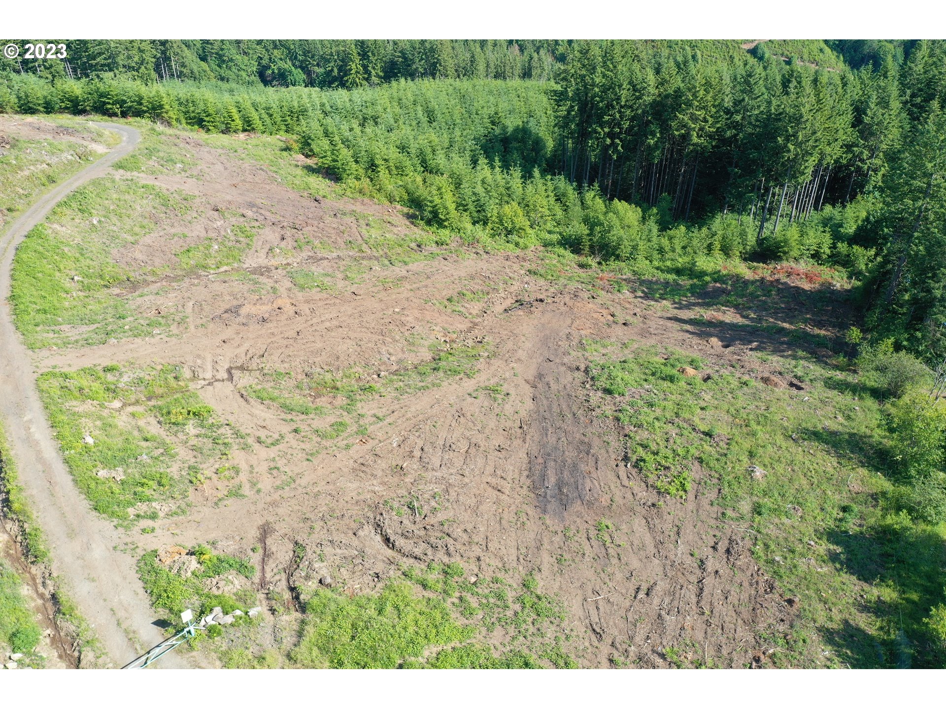 2987 Green Mountain Road, Unit D Kalama, WA 98625 - Photo 4 of 19 a view of a dry yard with trees