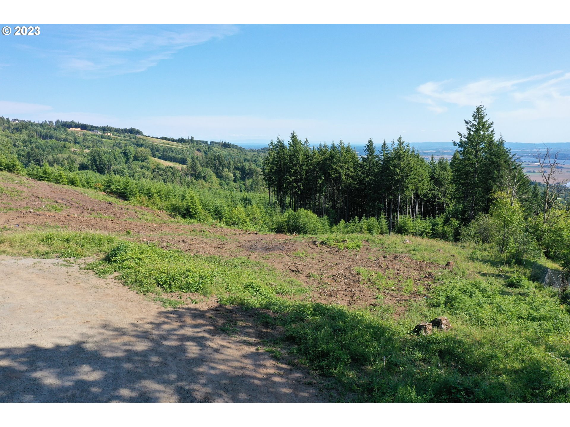 2987 Green Mountain Road, Unit D Kalama, WA 98625 - Photo 5 of 19 a view of a yard with a tree