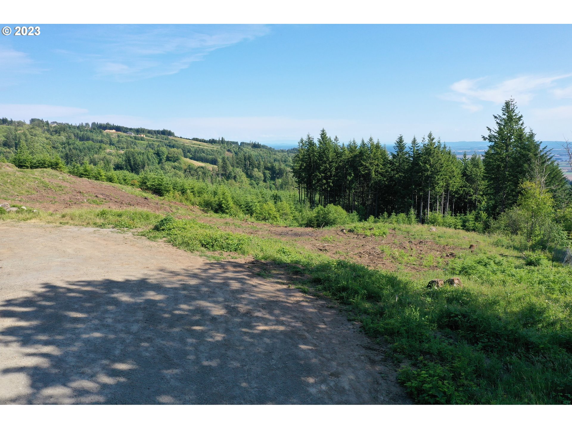 2987 Green Mountain Road, Unit D Kalama, WA 98625 - Photo 6 of 19 a view of a field with an trees