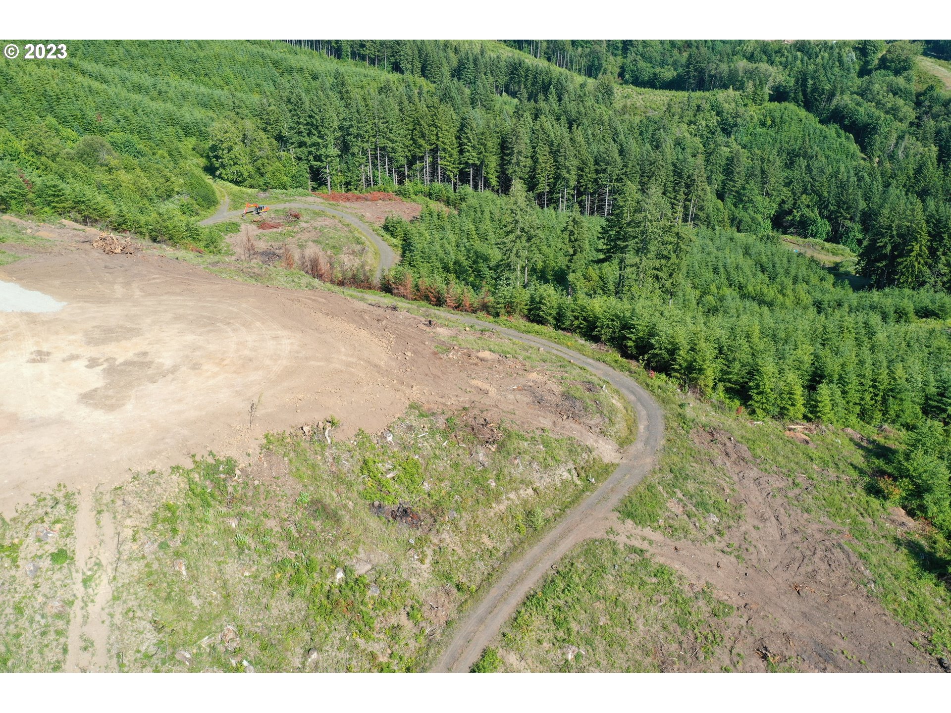 2987 Green Mountain Road, Unit D Kalama, WA 98625 - Photo 9 of 19 a view of a yard with a street