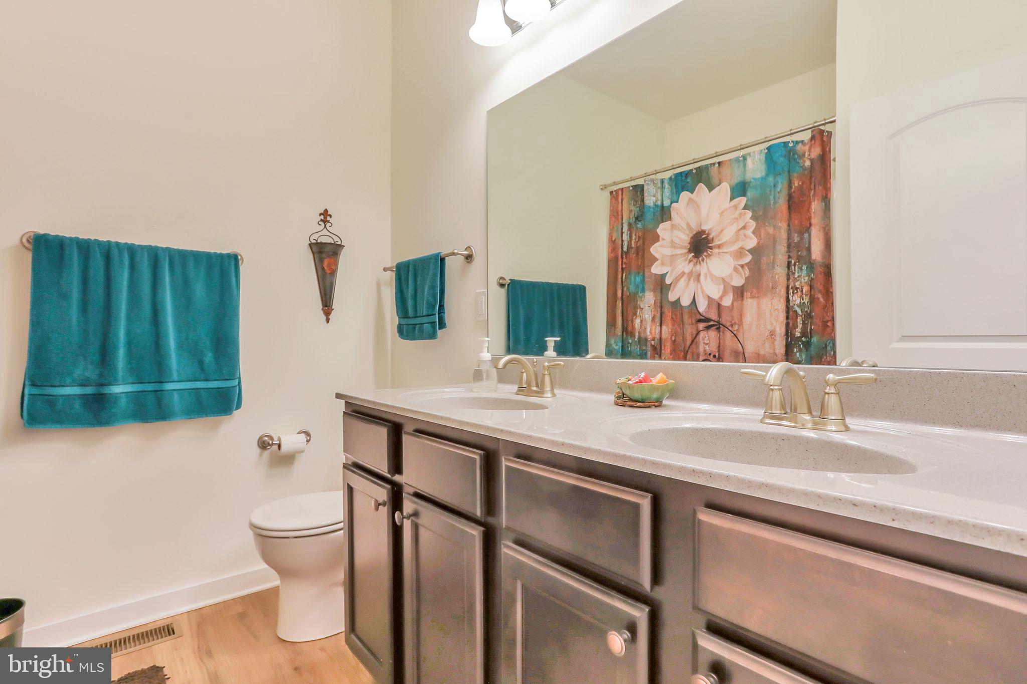 45 Rivanna Run Falling Waters, WV 25419 - Photo 27 of 46 Main Floor Bathroom between bedrooms 2&3
