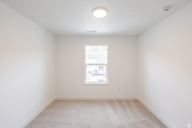 4812 Heartwood Road, Unit 424 Mapleton, UT 84664 - Photo 17 of 20 Unfurnished room with light colored carpet, a textured ceiling, and a smoke detector