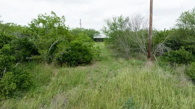 a view of a lush green space