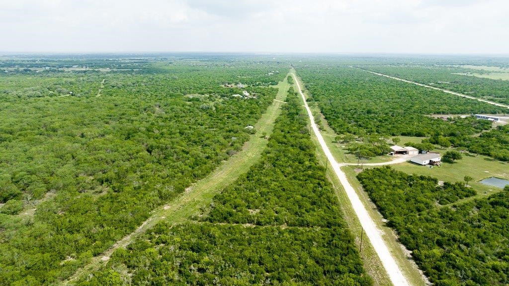 Tbd Pr 5015 Corrigan Road Skidmore, TX 78389 - Photo 13 of 21 a view of a lush green forest