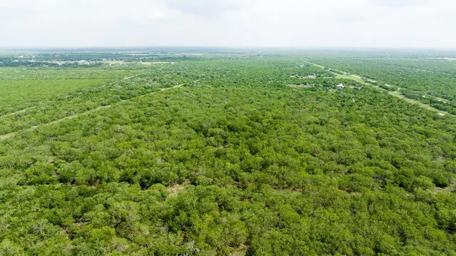 an aerial view of residential houses with outdoor space and trees