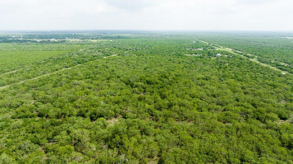 Tbd Pr 5015 Corrigan Road Skidmore, TX 78389 - Photo 14 of 21 an aerial view of residential houses with outdoor space and trees