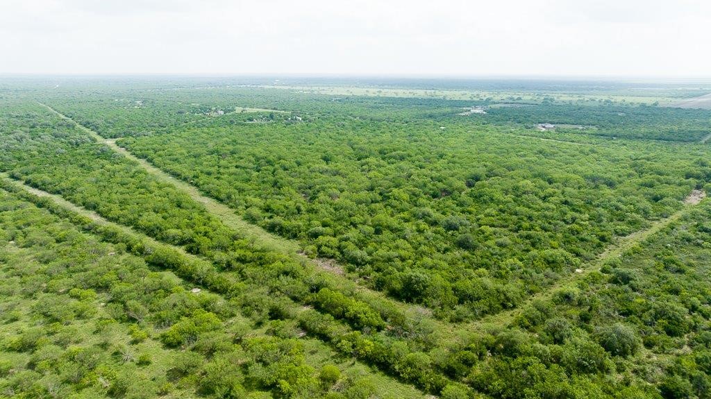Tbd Pr 5015 Corrigan Road Skidmore, TX 78389 - Photo 15 of 21 an aerial view of residential houses with outdoor space and trees