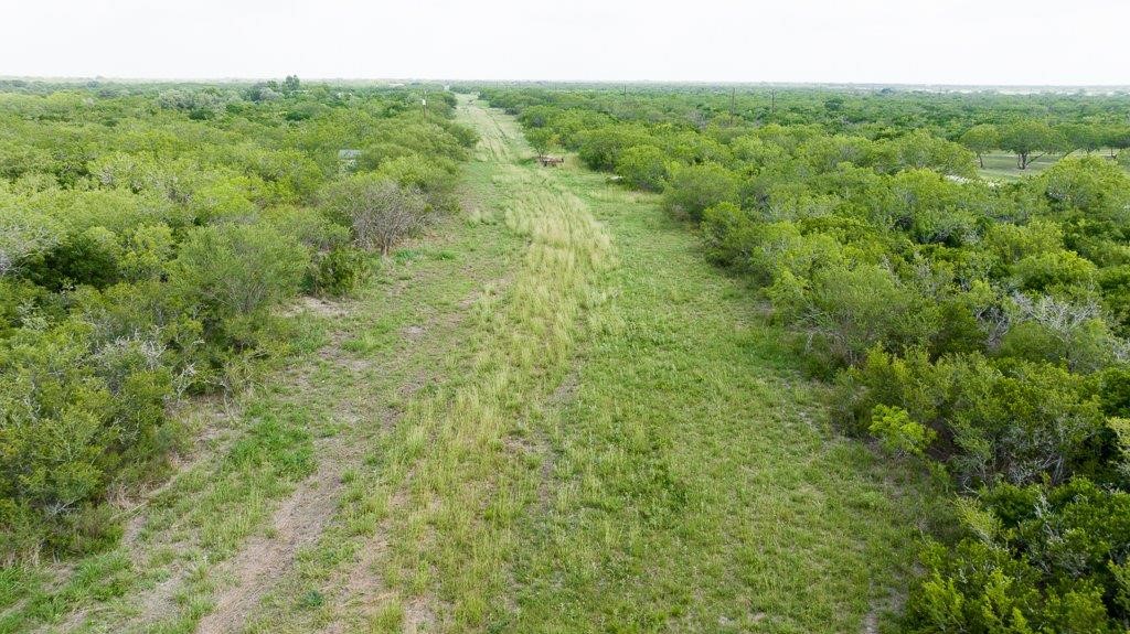 Tbd Pr 5015 Corrigan Road Skidmore, TX 78389 - Photo 17 of 21 a view of a field of grass and trees