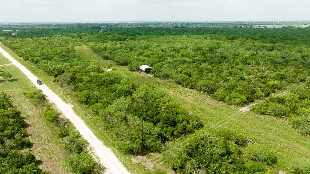 Tbd Pr 5015 Corrigan Road Skidmore, TX 78389 - Photo 18 of 21 a view of a garden with a building in the background