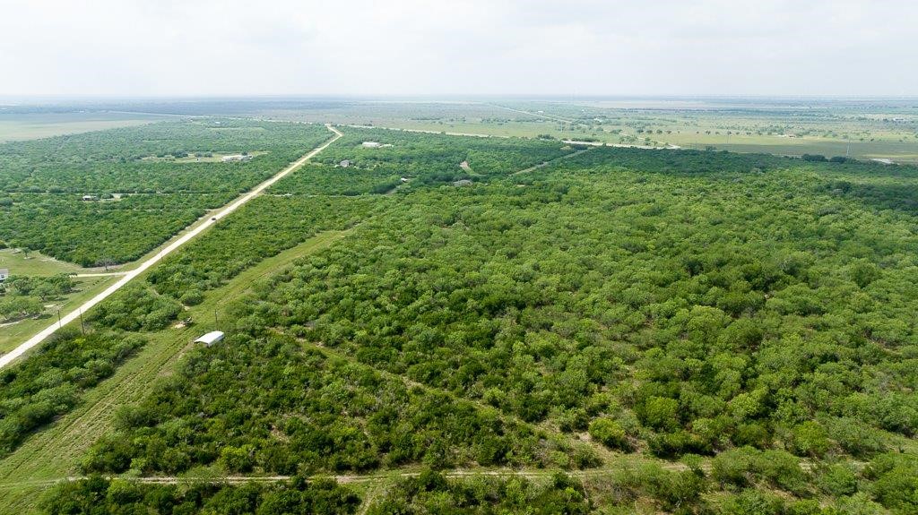 Tbd Pr 5015 Corrigan Road Skidmore, TX 78389 - Photo 19 of 21 a view of a green field with lots of bushes