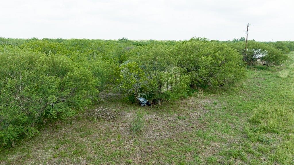 Tbd Pr 5015 Corrigan Road Skidmore, TX 78389 - Photo 3 of 21 a view of a forest with a tree
