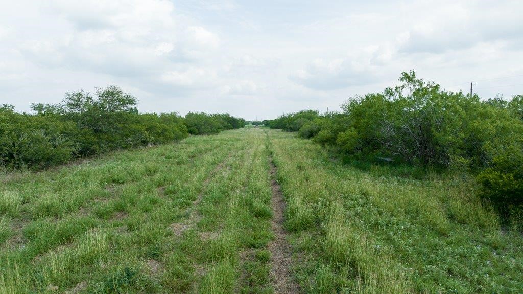 Tbd Pr 5015 Corrigan Road Skidmore, TX 78389 - Photo 7 of 21 a view of a lush green forest with lots of trees