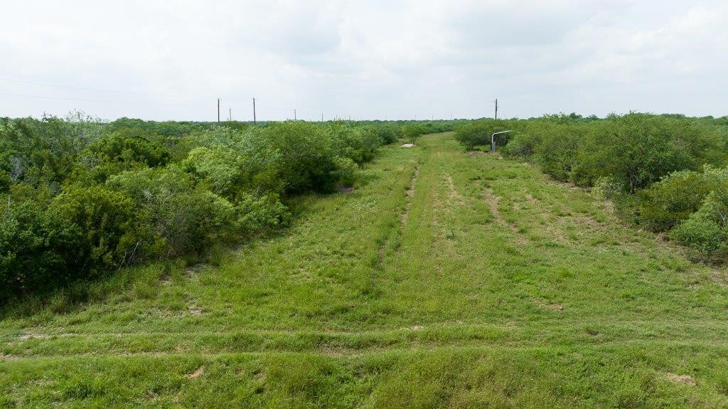 Tbd Pr 5015 Corrigan Road Skidmore, TX 78389 - Photo 8 of 21 a view of a green field with lots of bushes