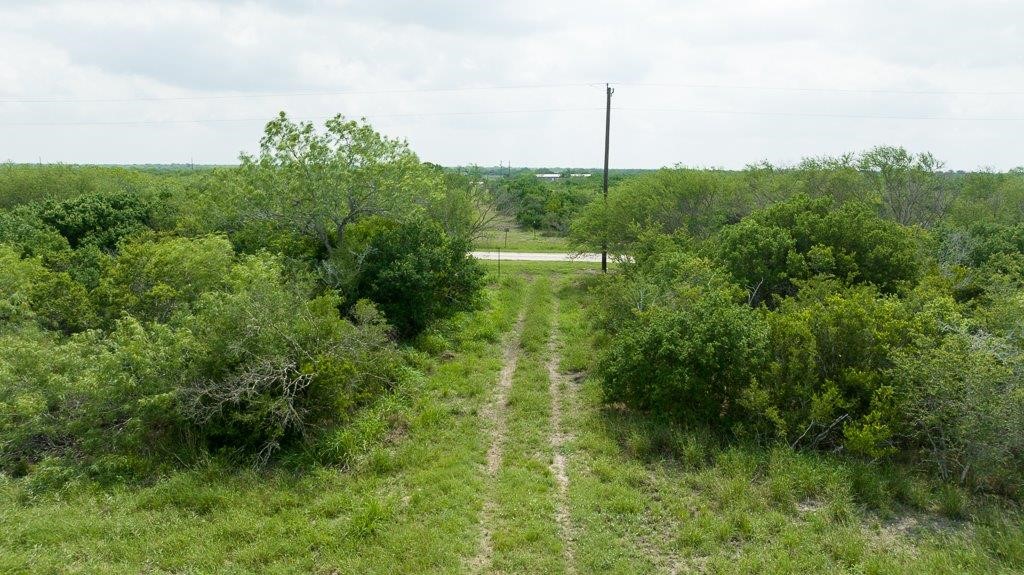 Tbd Pr 5015 Corrigan Road Skidmore, TX 78389 - Photo 9 of 21 a view of a garden