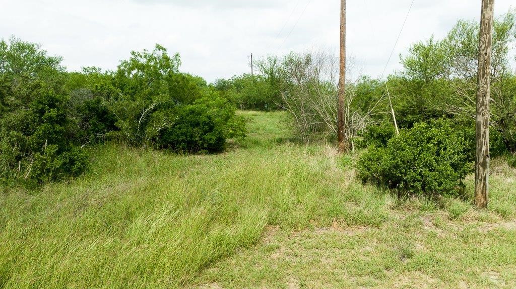 Tbd Pr 5015 Corrigan Road Skidmore, TX 78389 - Photo 10 of 21 a view of a garden