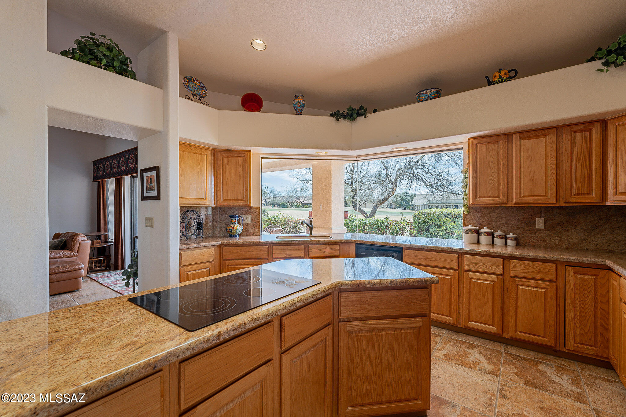 1507 North Bank Swallow Road Green Valley, AZ 85614 - Photo 16 of 40 Gallery Image 16