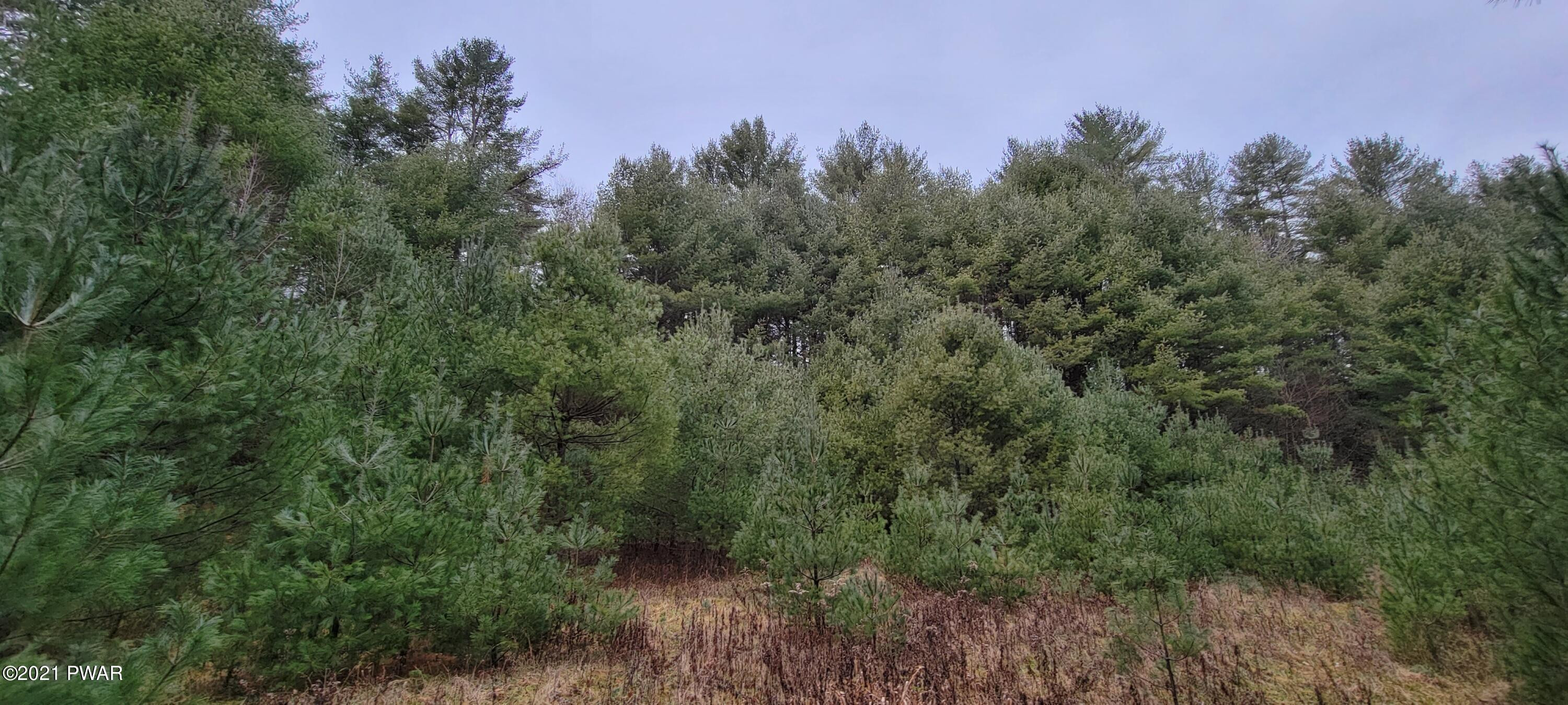 Lot 43 Swamp Pond Road Narrowsburg, NY 12764 - Photo 9 of 13