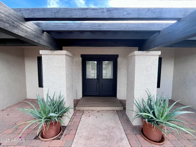 a potted plant sitting in front of a door