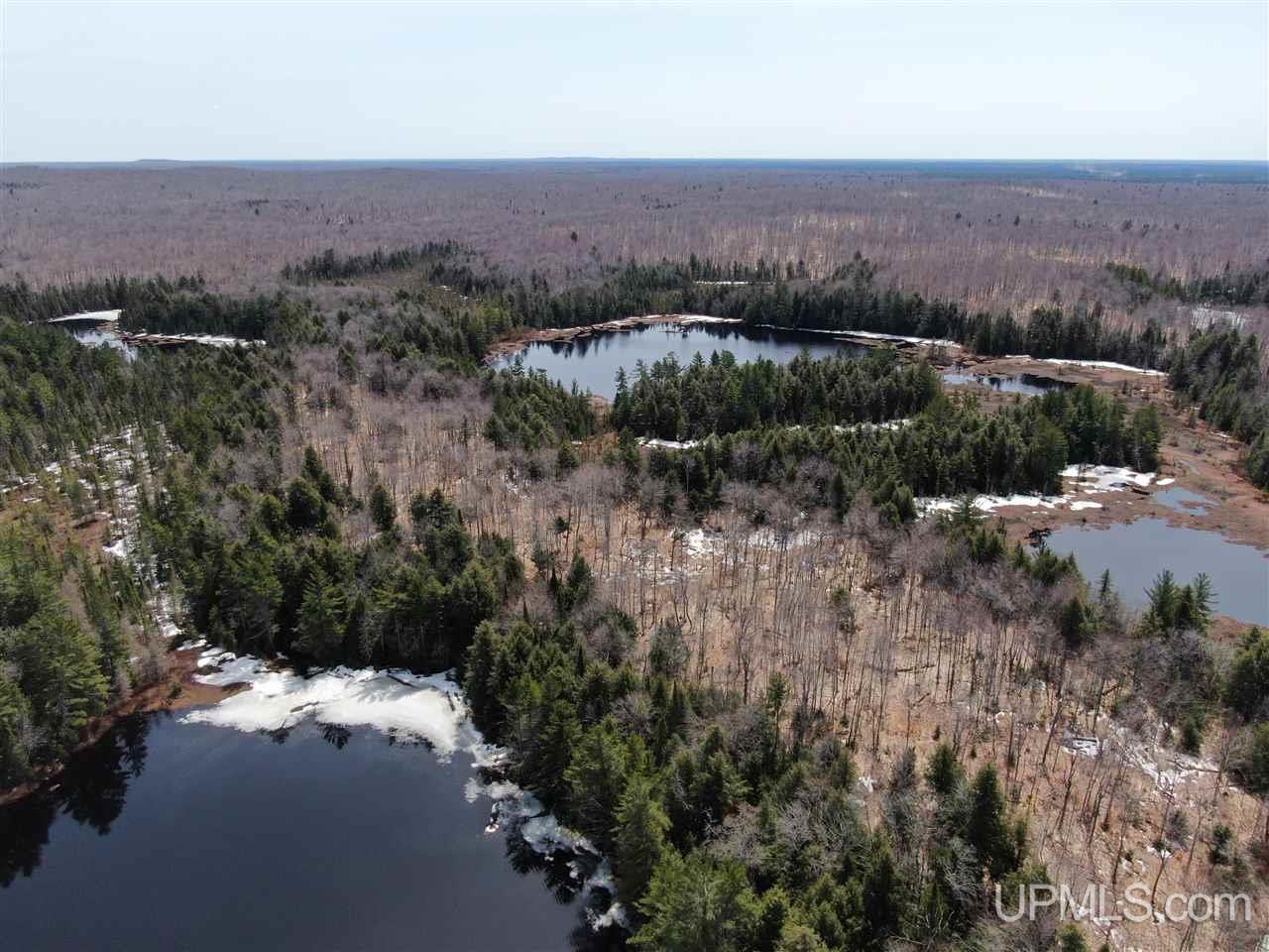 0 Old Seney Road Seney, MI 49883 - Photo 14 of 31
