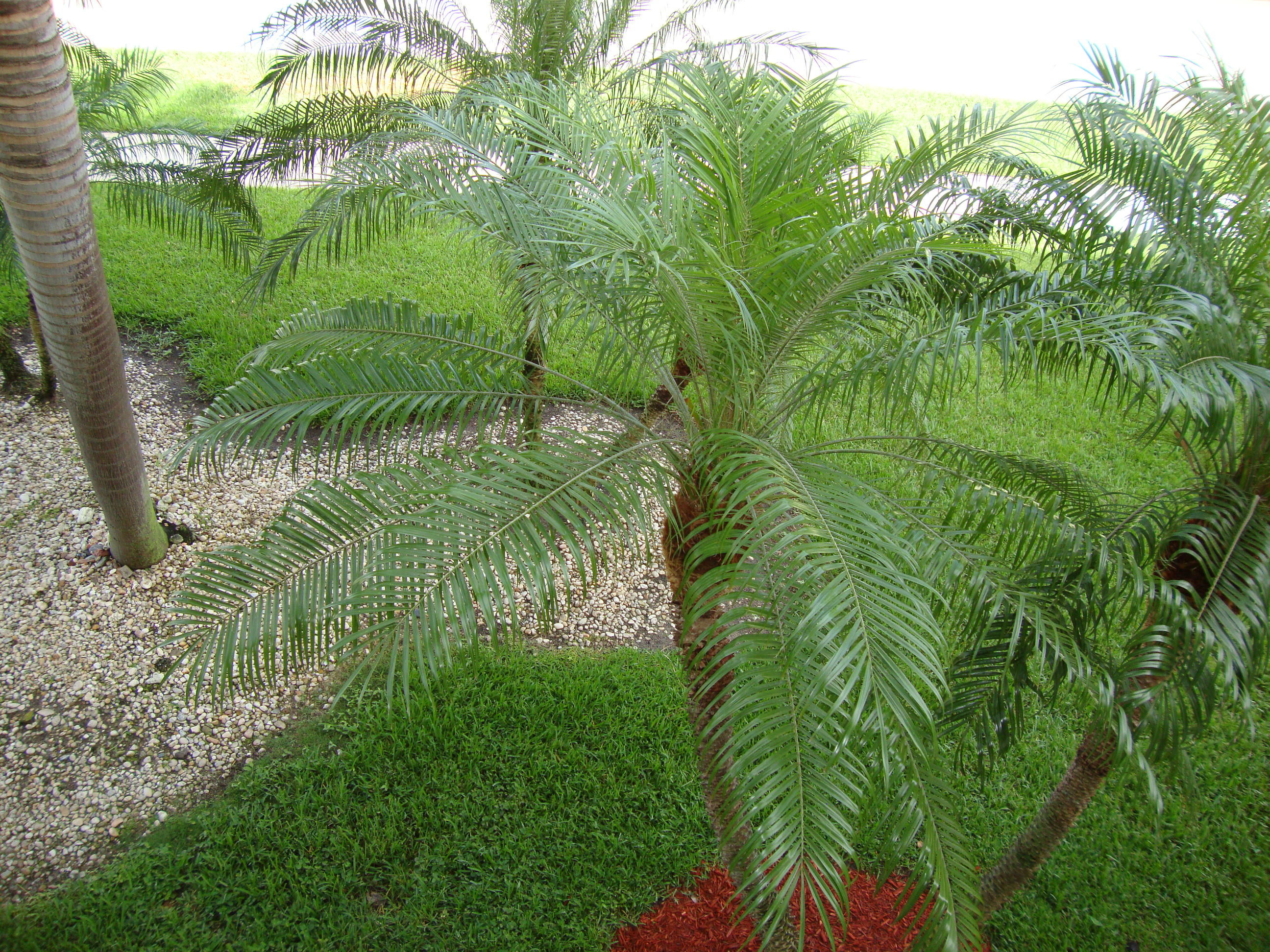 2679 South Ocean Boulevard, Unit 2B Boca Raton, FL 33432 - Photo 31 of 42 a view of lake