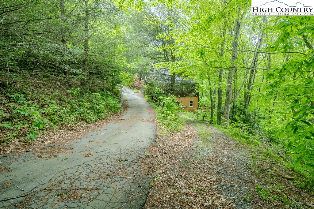 680 Timberlane Drive Boone, NC 28607 - Photo 5 of 50