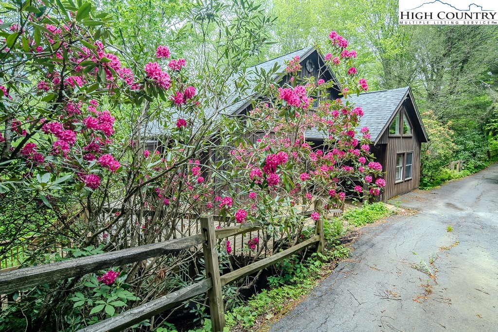 680 Timberlane Drive Boone, NC 28607 - Photo 6 of 50