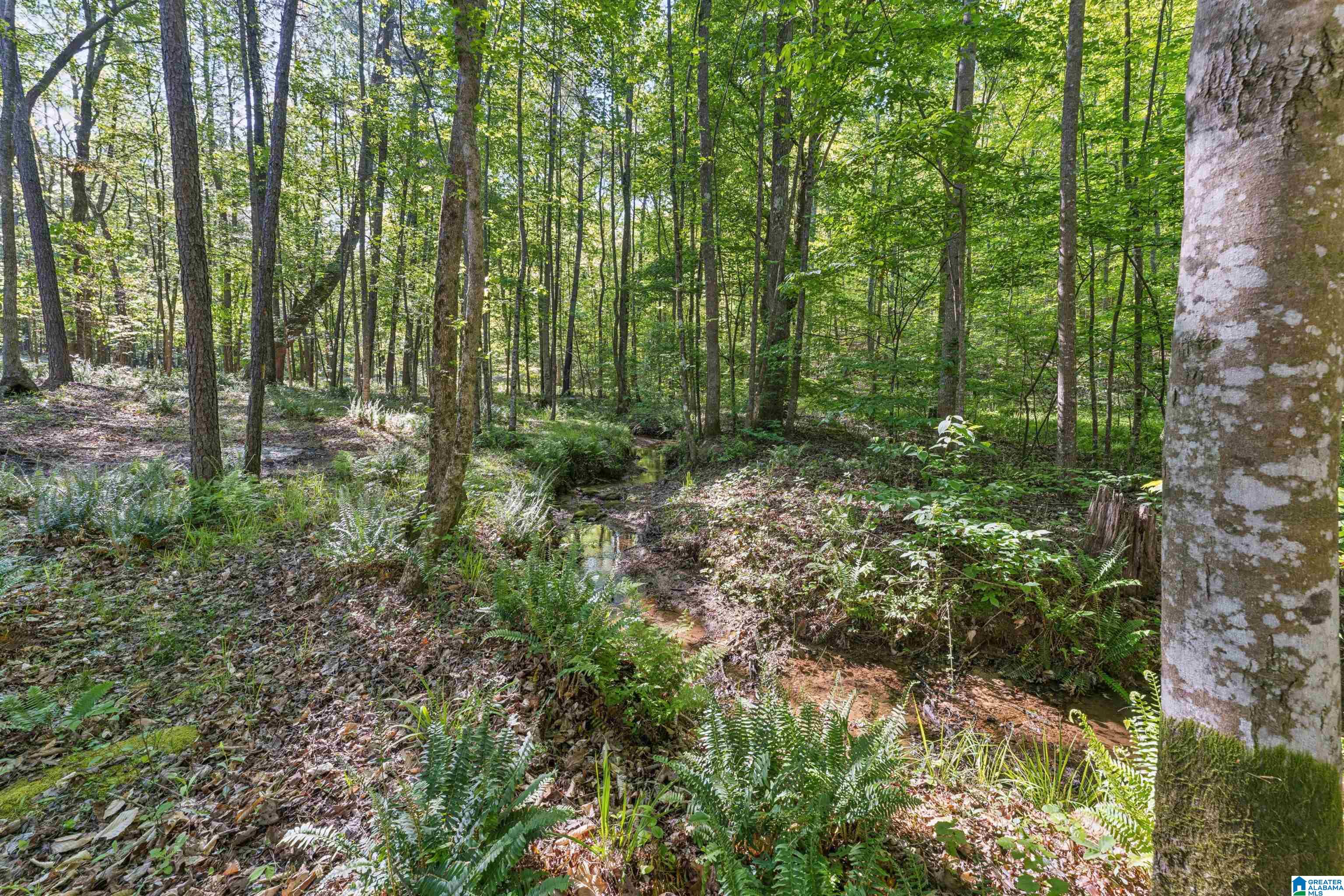910 Twin Blf Drive Springville, AL 35146 - Photo 49 of 50