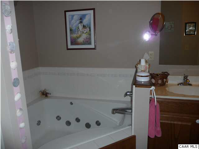 3611 Union Mills Road Troy, VA 22974 - Photo 12 of 31 Garden Tub in Master Bath
