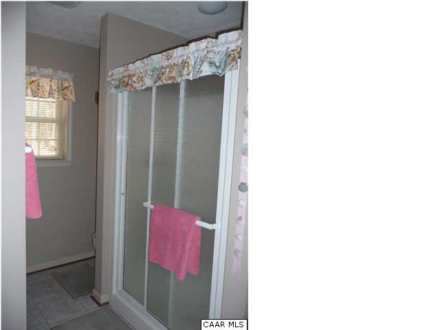 3611 Union Mills Road Troy, VA 22974 - Photo 13 of 31 Shower in Master Bath