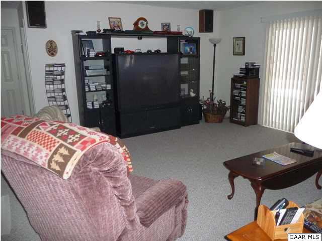 3611 Union Mills Road Troy, VA 22974 - Photo 22 of 31 TV/FR area in 47 foot open area in Terrace Level