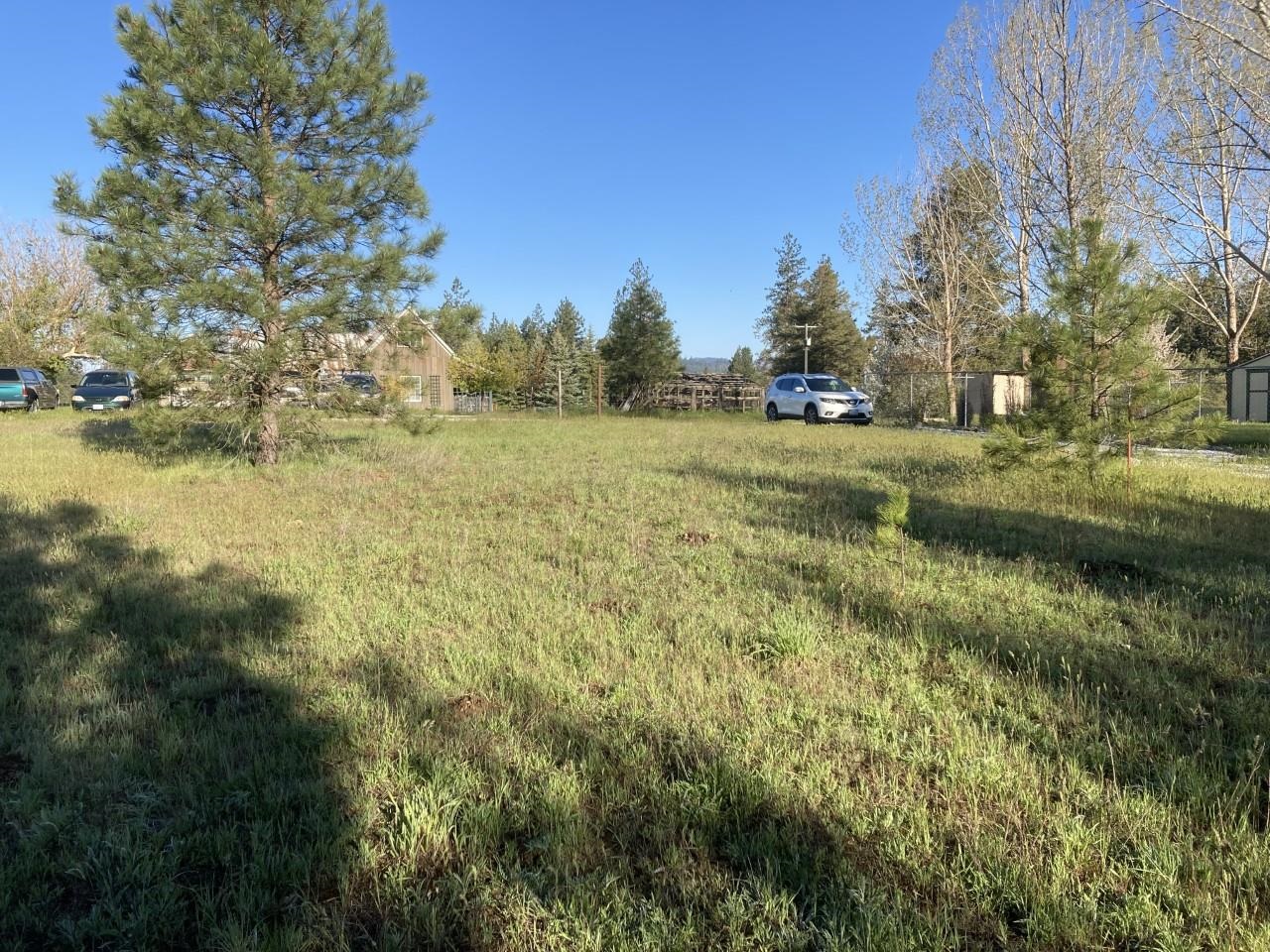 4006 B Highway 231 Springdale, WA 99173 - Photo 5 of 6