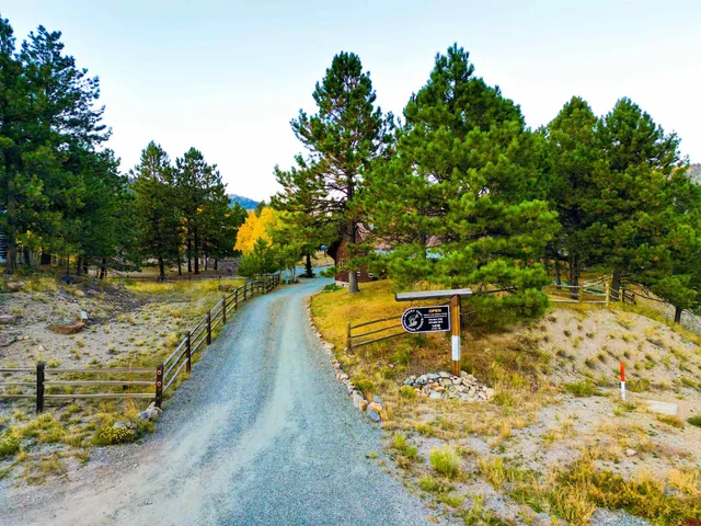a view of a yard with plants