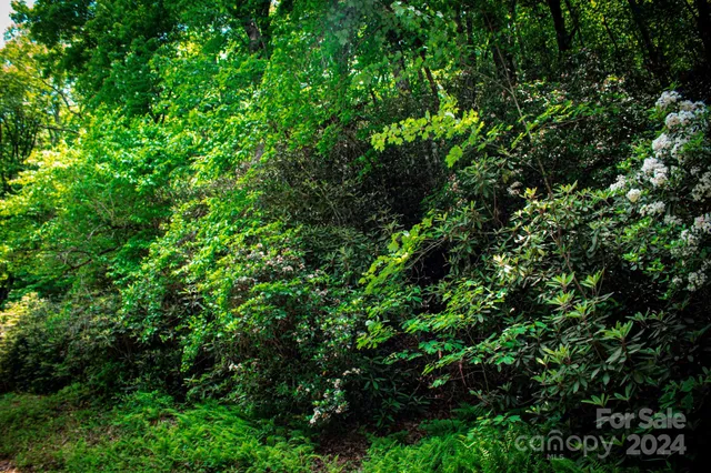 $20,000 | Tbd Fox Den Road, Unit LOT 57&59, Brevard, NC 28712