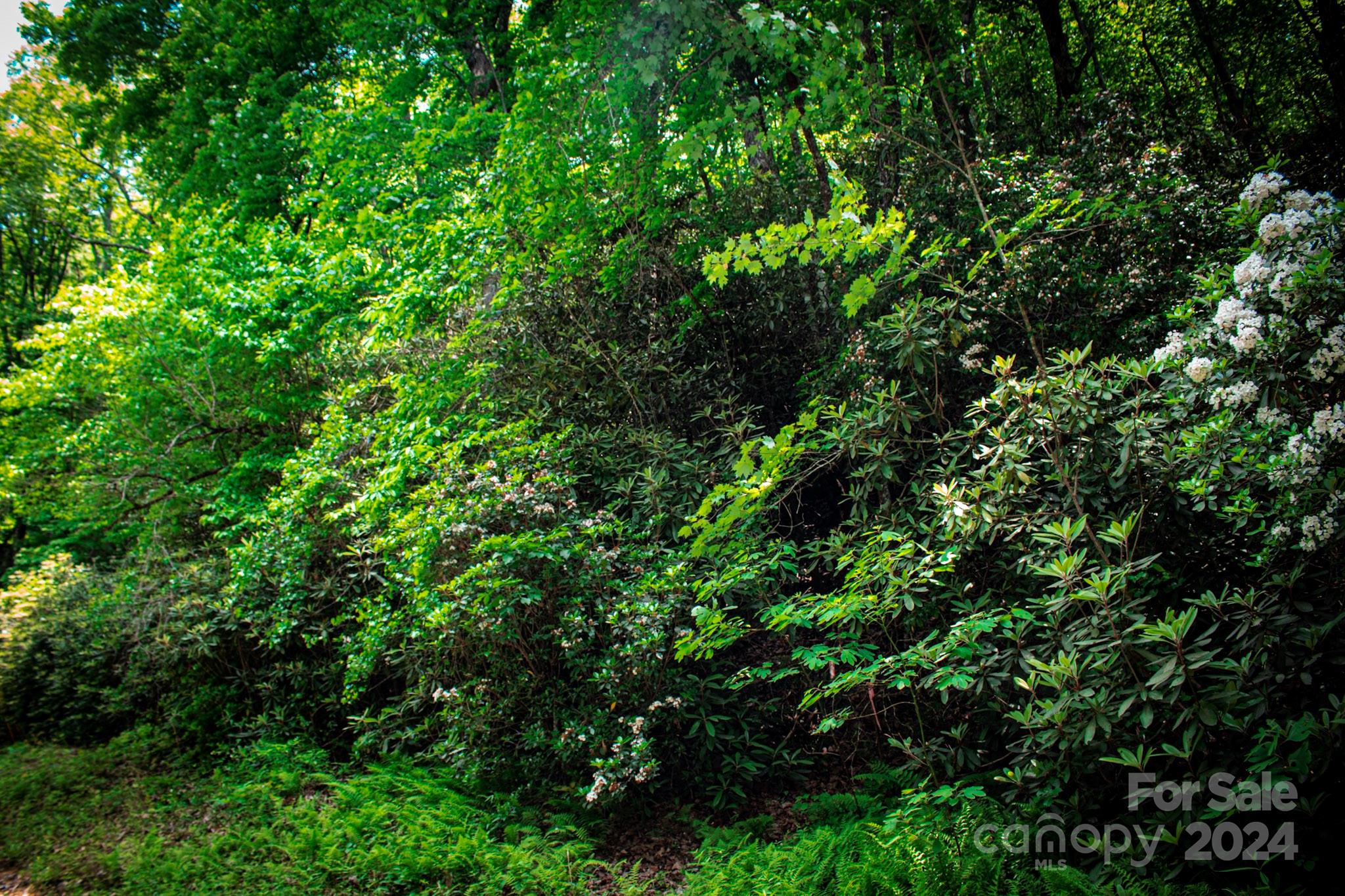 Tbd Fox Den Road, Unit LOT 57&59 Brevard, NC 28712 - Photo 2 of 4