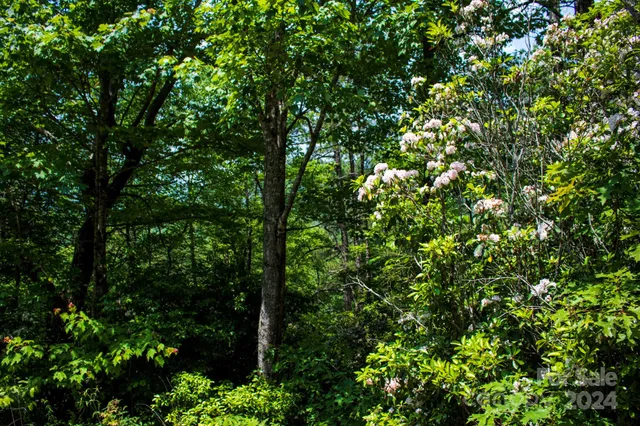 $20,000 | Tbd Fox Den Road, Unit LOT 57&59, Brevard, NC 28712