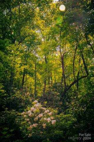 $20,000 | Tbd Fox Den Road, Unit LOT 57&59, Brevard, NC 28712