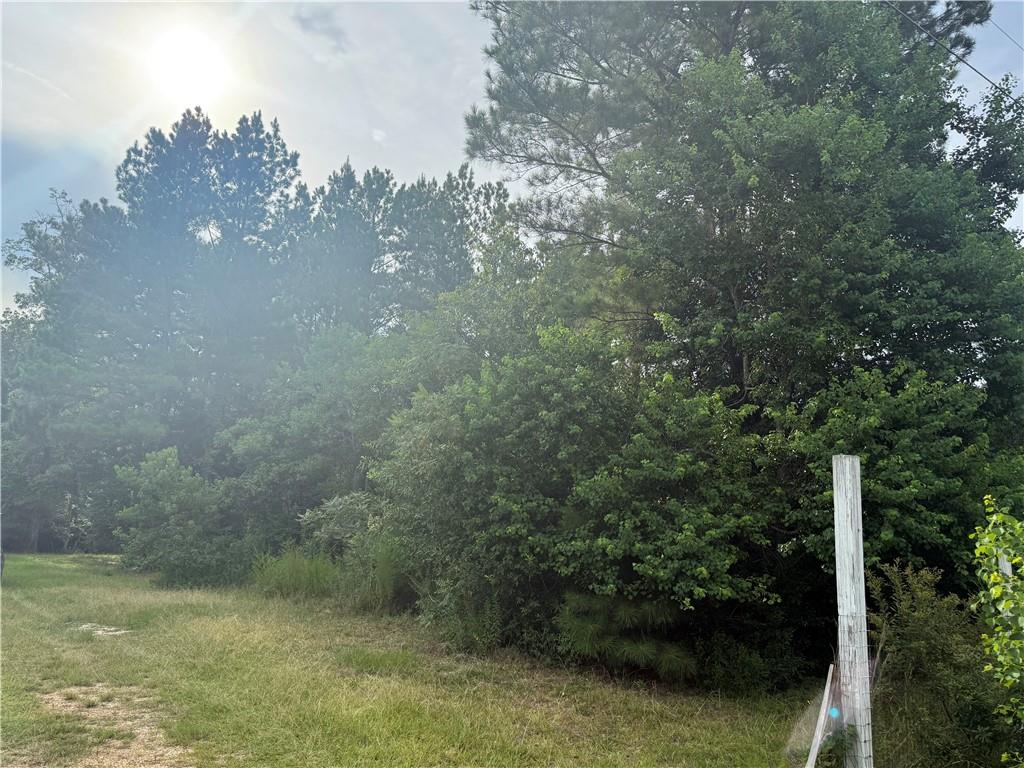 0 Ross Road Independence, LA 70443 - Photo 3 of 4 Gallery Image 3