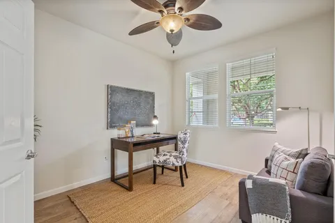 a living room with furniture and a potted plant