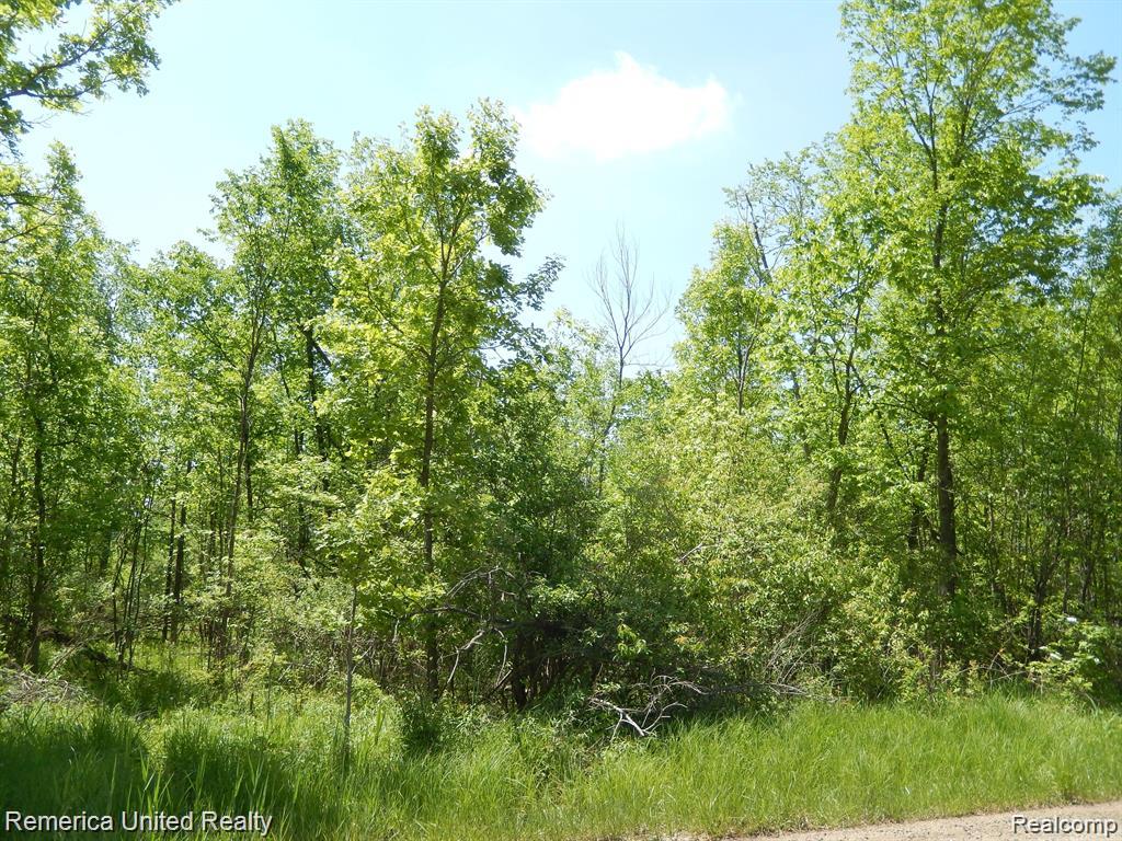 Parcel 20 Munsell Road Howell, MI 48843 - Photo 4 of 8