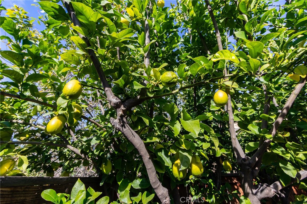 1922 Alta Street Redlands, CA 92374 - Photo 38 of 45