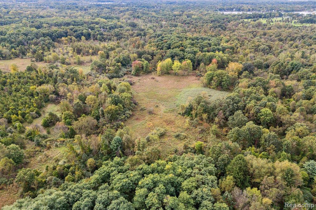 0 Swarthout Road Pinckney, MI 48169 - Photo 10 of 16