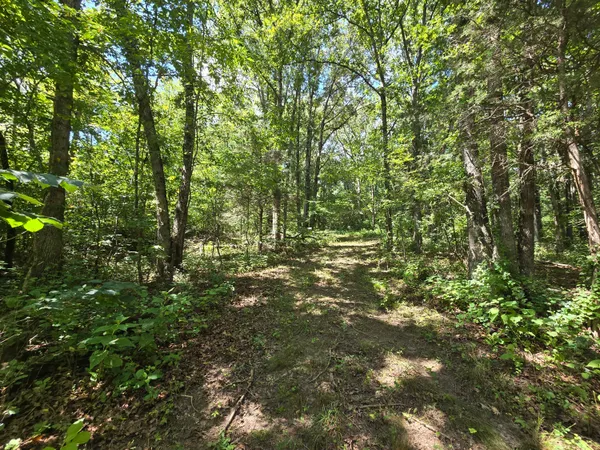 a view of outdoor space and trees