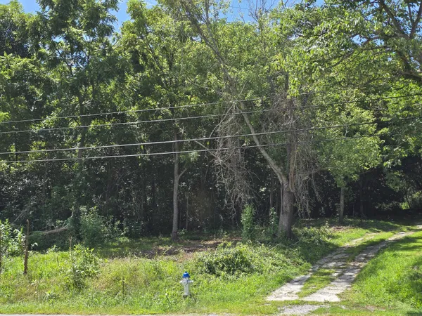$125,000 | Tbd Main Street, Buchanan, VA 24066
