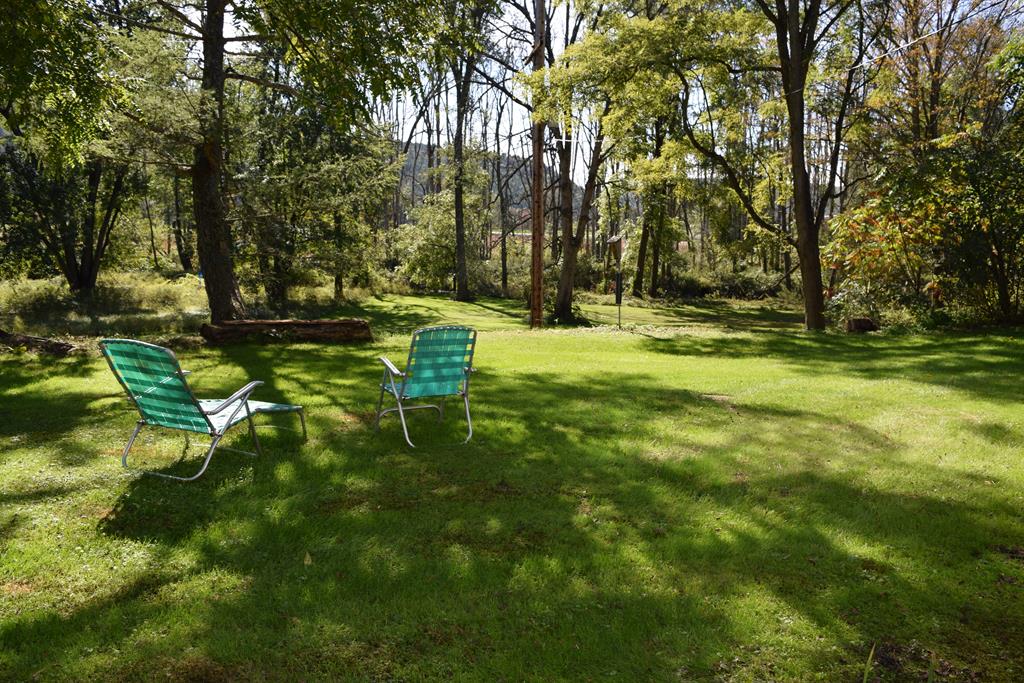 279 Candor Road Spencer, NY 14883 - Photo 22 of 23 Gallery Image 22