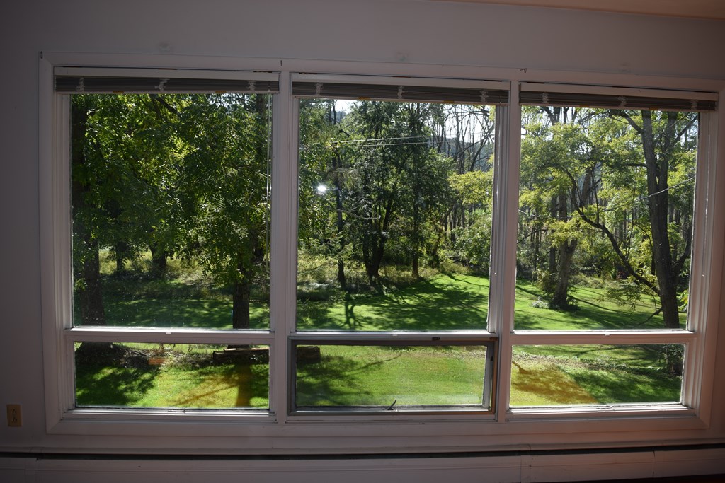 279 Candor Road Spencer, NY 14883 - Photo 10 of 23 Gallery Image 10