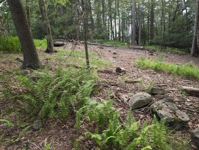 $35,000 | Eldred-yulan Road, Yulan, NY 12792