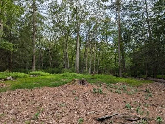 $35,000 | Eldred-yulan Road, Yulan, NY 12792